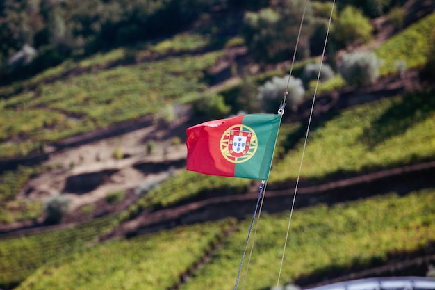 Photo close-up of portuguese flag