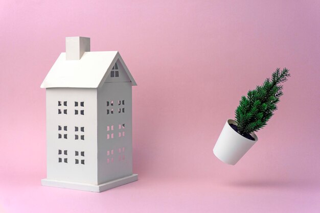 Photo close-up of potted plant against building