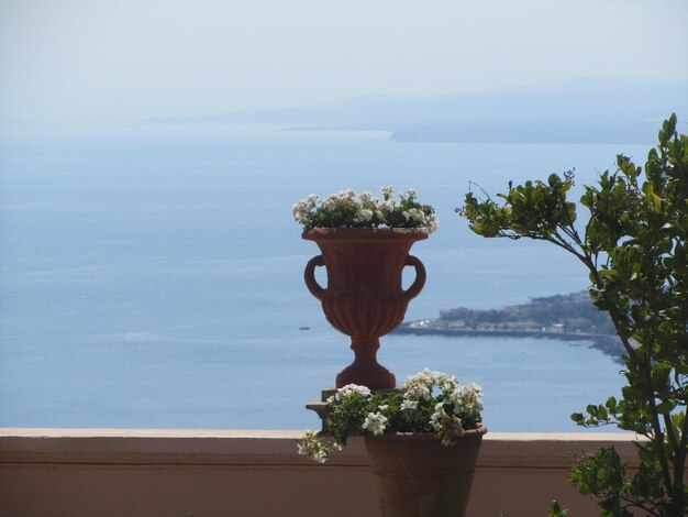 Photo close-up of potted plant against sea