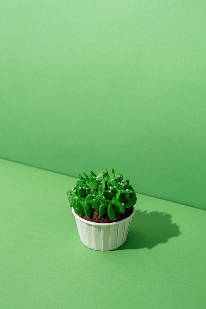 close-up of potted plant against wall