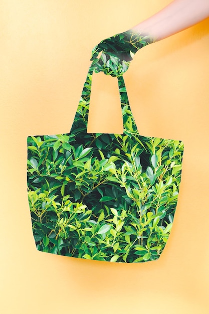 Photo close-up of potted plant against white background