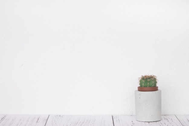 Photo close-up of potted plant against white wall