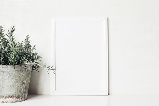 Photo close-up of potted plant against white wall