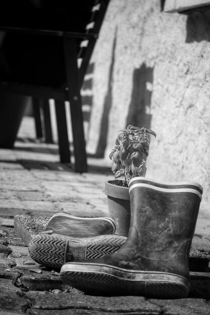 Photo close-up of potted plant and boots