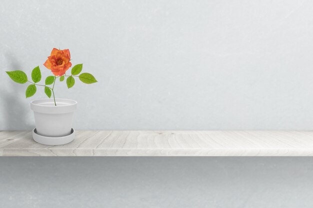 Close-up of potted plant on table against wall