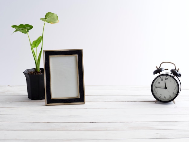 Close-up of potted plant on table against wall