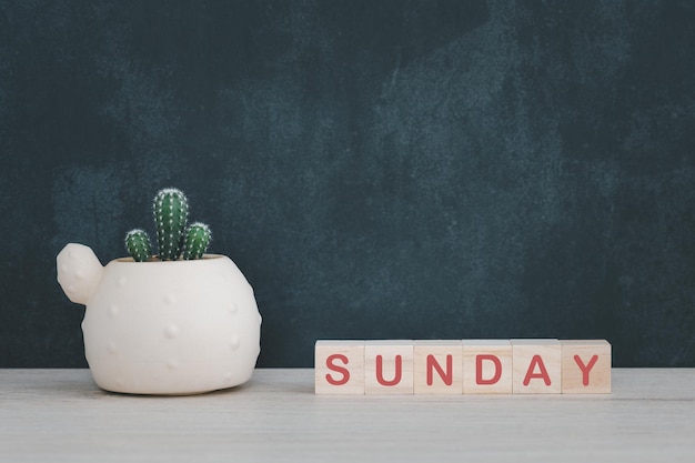 Photo close-up of potted plant on table against wall