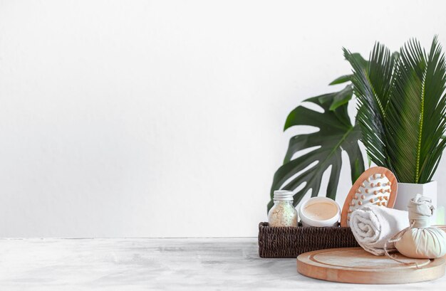 白い背景に対してテーブルの上の鉢植えの植物のクローズ アップ