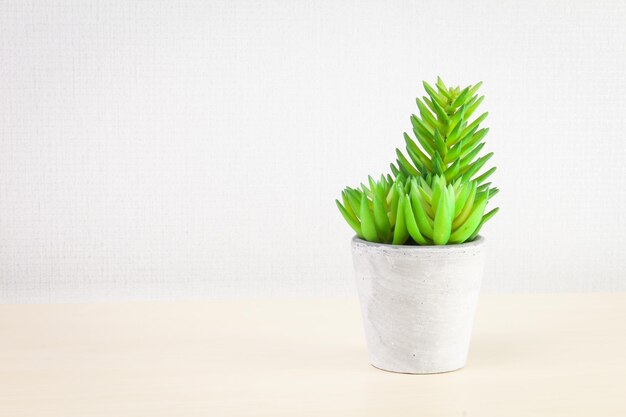 Photo close-up of potted plant on table against white background