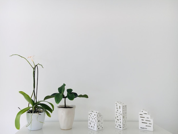 Photo close-up of potted plant on table against white wall