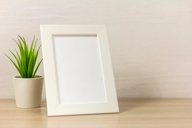 Close-up of potted plant on table against white wall