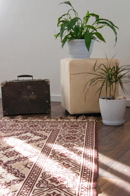 Close-up of potted plant on table at home