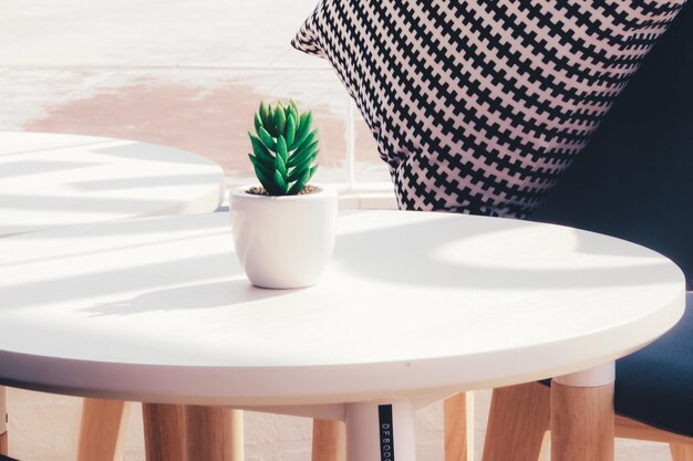 Photo close-up of potted plant on table at home