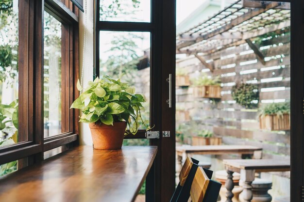 Photo close-up of potted plant on table at home