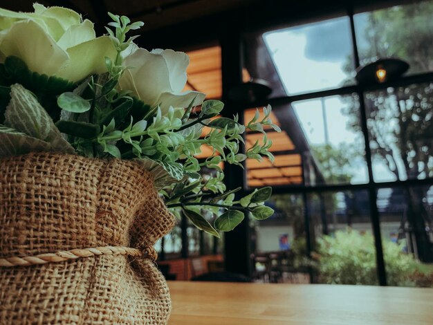 Photo close-up of potted plant on table at home