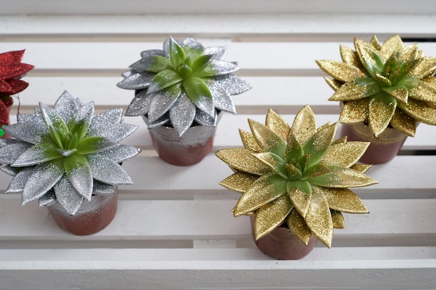 Photo close-up of potted plant on table