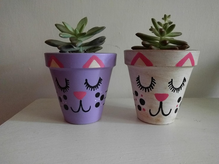 Photo close-up of potted plant on table