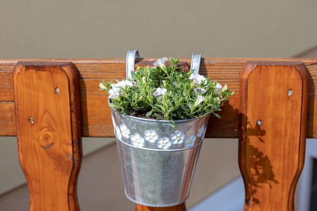 Close-up of potted plant on table