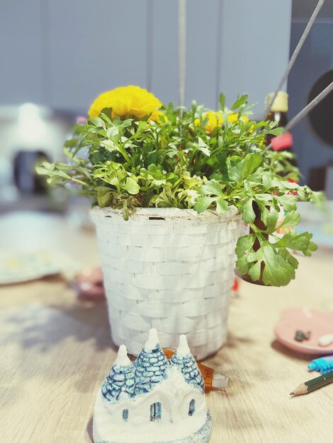 Close-up of potted plant on table