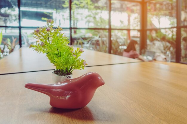 Foto prossimo piano di una pianta in vaso su un tavolo