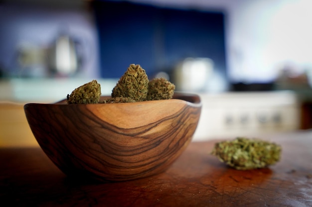 close-up of potted plant on table