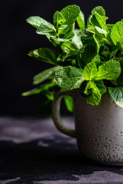 Foto prossimo piano di una pianta in vaso su un tavolo