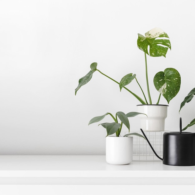 Photo close-up of potted plant in vase against wall at home