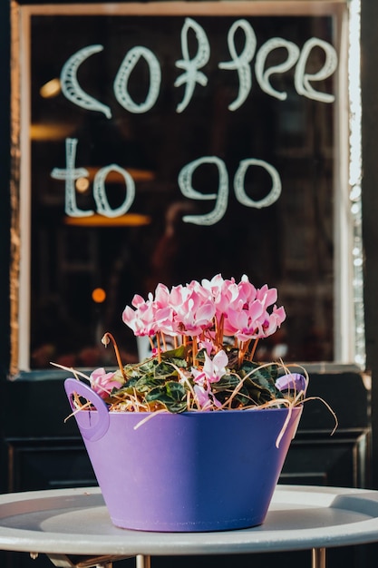 Photo close-up of potted plant on window sill