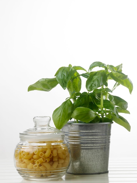 Foto close-up di pianta in vaso con pasta su tavola su sfondo bianco