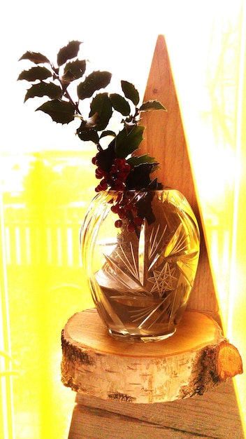 Foto close-up di una pianta in vaso su una struttura in legno a casa