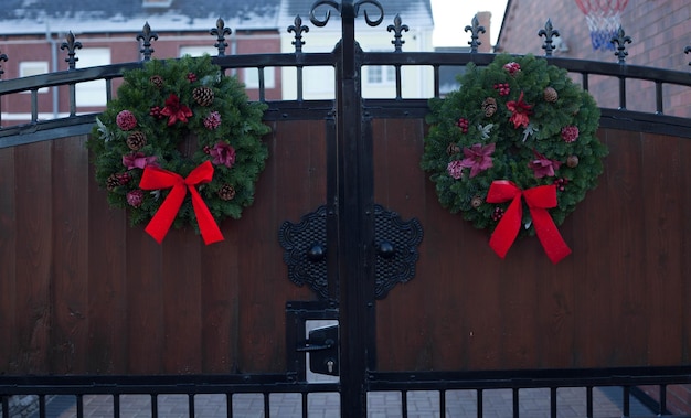 Photo close-up of potted plants against railing