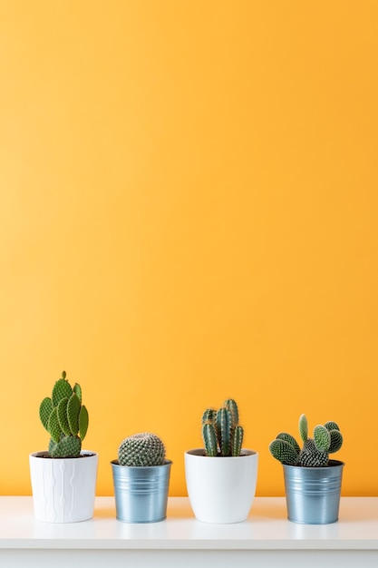 Photo close-up of potted plants table by yellow wall