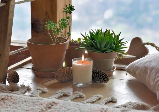 Photo close-up of potted plants on table