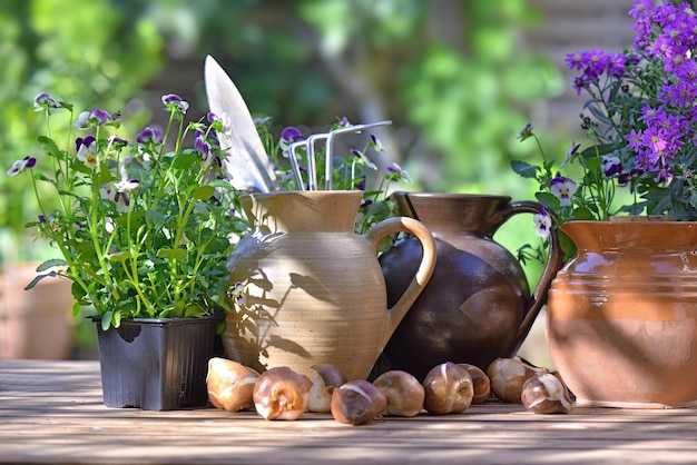 Close-up of potted plants on table