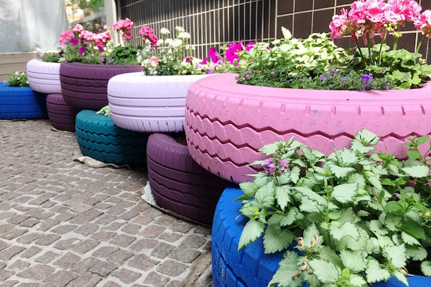 Close-up of potted plants