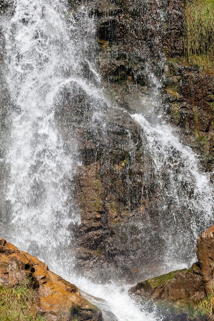 Close-up of a powerful waterfall in high quality. Side view of a sun-drenched waterfall in the wild. A large stream of water pours down from the mountain.