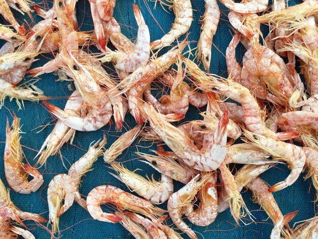 Photo close-up of prawns