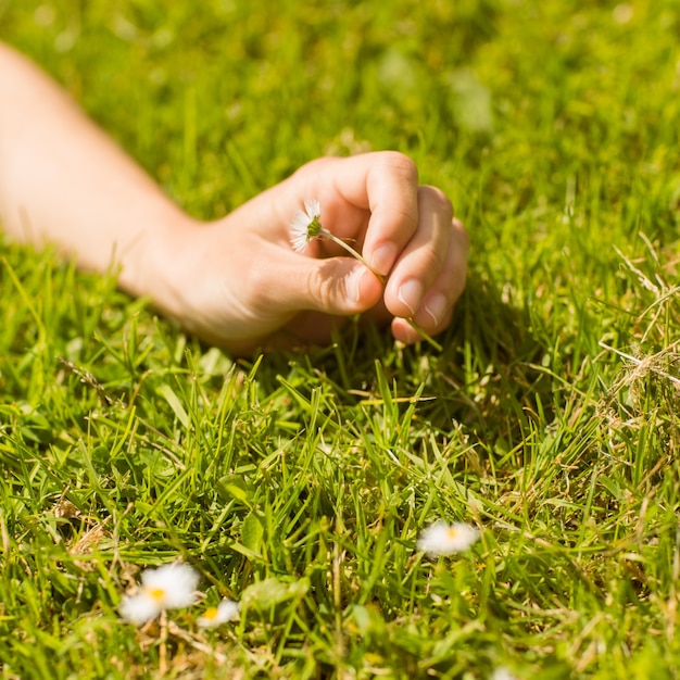 Close up of a pretty redhead holding daisy