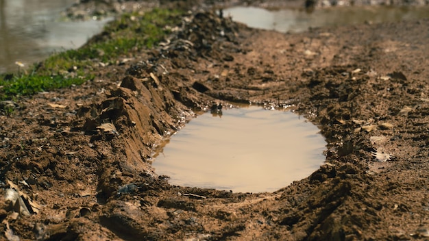 Close up puddle on muddy vehicle trail. selective focus on\
mud.