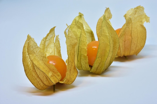 Foto close-up di una zucca su uno sfondo bianco