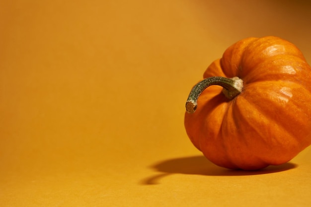 Close-up of pumpkin against yellow background