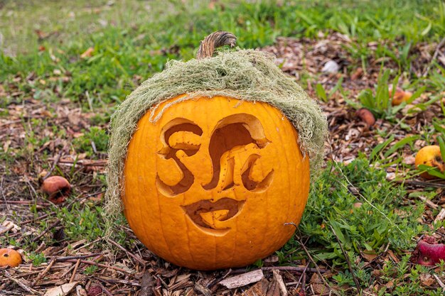 Foto prossimo piano di una zucca sul campo durante l'autunno