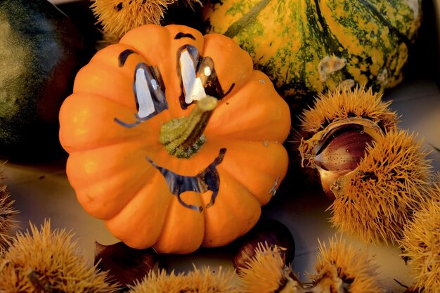 Close-up of pumpkin on field