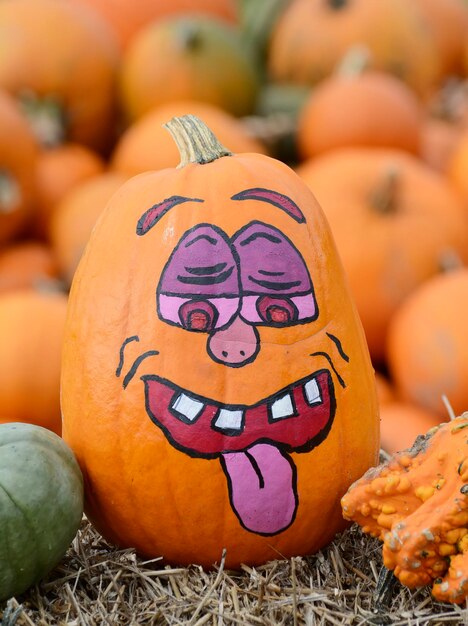 Close-up of pumpkin pumpkins