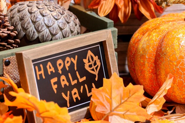 Photo close-up of pumpkin for sale at market stall