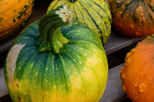 Close-up of pumpkin for sale at market