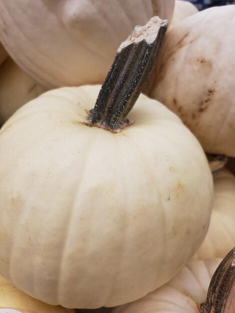 Foto close-up di una zucca in vendita