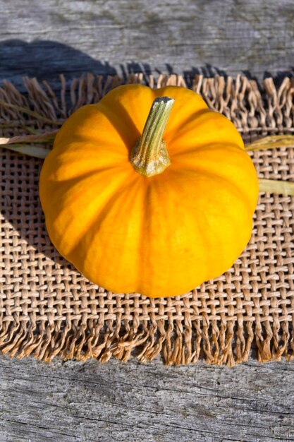 Photo close-up of pumpkin on table