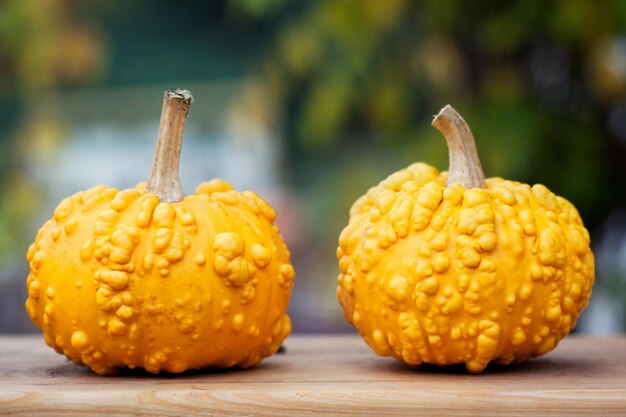 Photo close-up of pumpkin on table