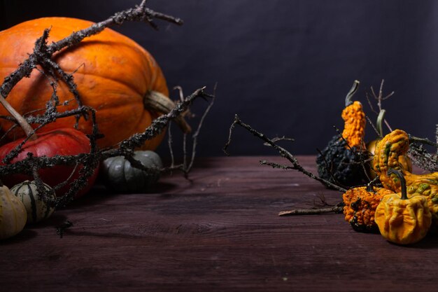 Photo close-up of pumpkin on table